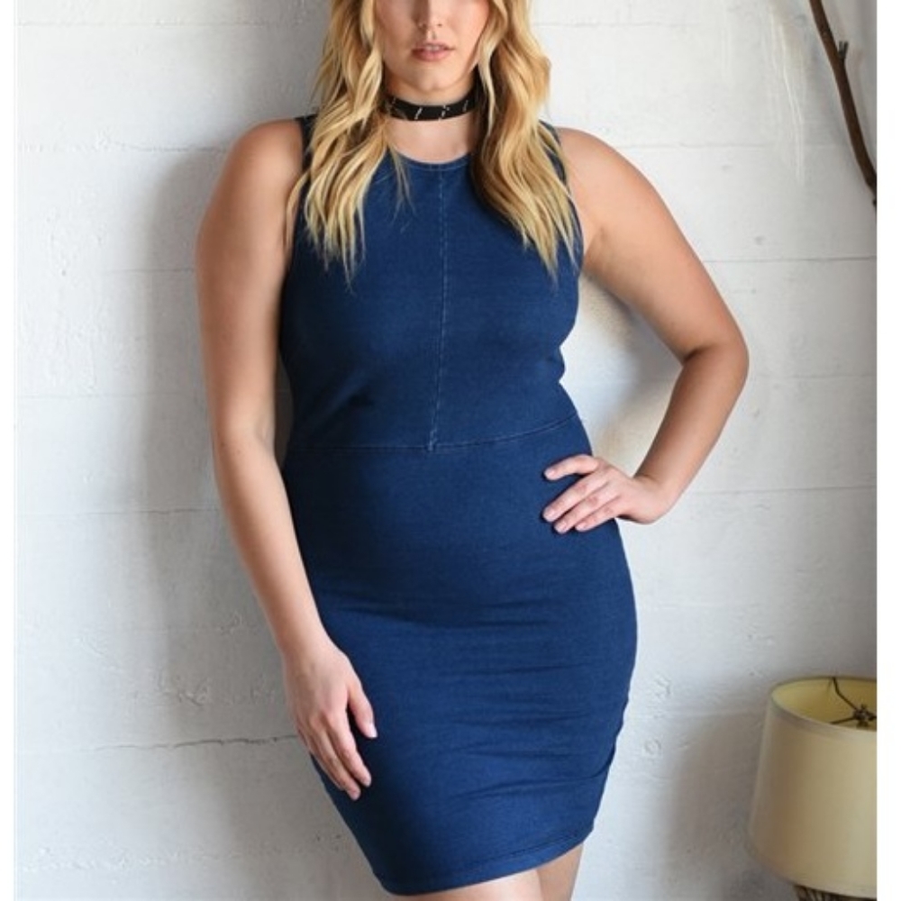 FINAL | Denim Dress - Plus Size - Picture 3 of 6